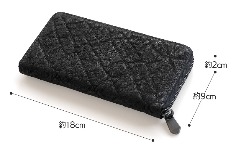 1万円札ぴったりの18cm！