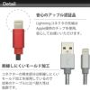 ライトニング ケーブル USB-C 充電 MacBook iPhone 同期