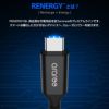 USB-C ケーブル 1ｍ USB 100W 電源供給 MacBook Pro Air Type C