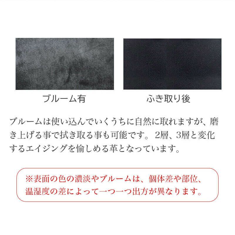 本革 ペンケース AGILITY ふでばこ ペン入れ 万年筆 筆箱 革 皮 男性 女性 高級  ビジネス シンプル お洒落