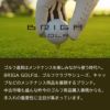 BRIGA GOLF ゴルフシューズケアセット GOLF SHOES CARE SET クリーナー コンシーラー