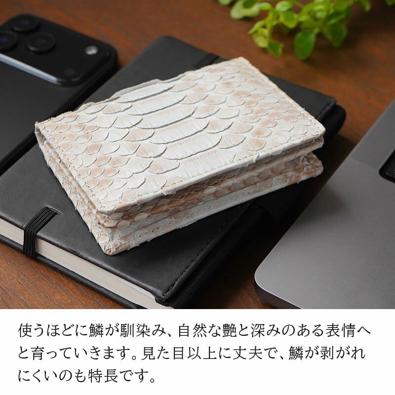 ZOO 名刺入れ 本革 革 蛇革 パイソン ホワイト カードケース メンズ レディース ブランド